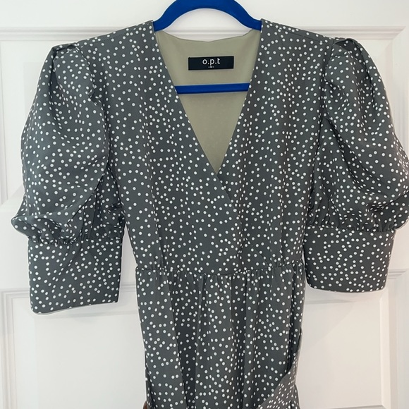 [OPT] Green Papin Dress from Tuckernuck - Picture 6 of 8